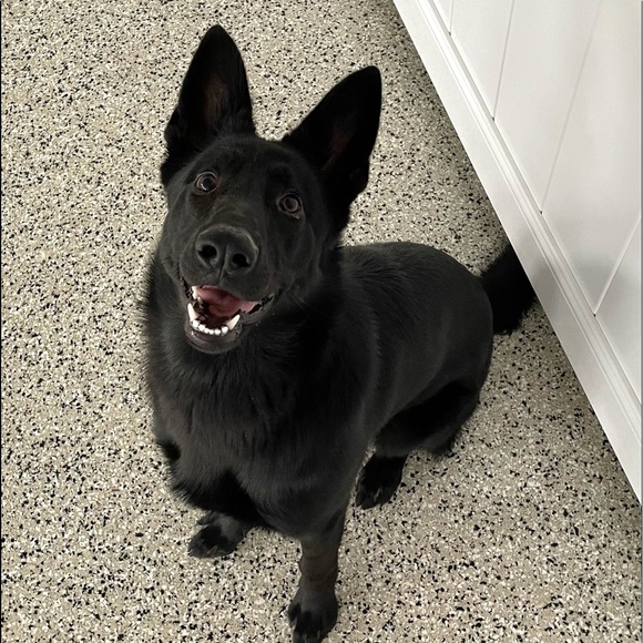 Meet your Posher, Rachel - Picture 8 of 15